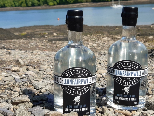 Two Llanfairpwllgwyngyll Menai Oyster gin bottles on a beach with the Menai Strait in the background