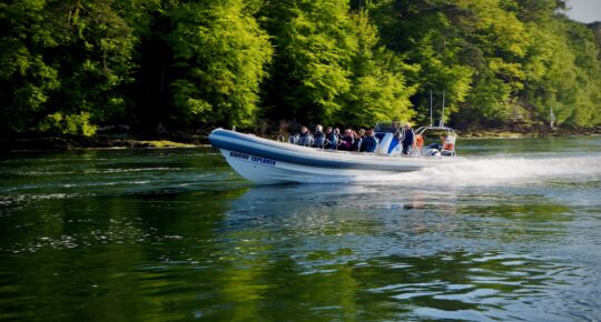 RibRide's Explorer RIB carrying passengers heading left along the Menai Strait close to a tree-lined shore